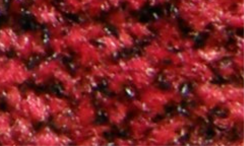 Sauberlauf Coral Brush cardinal red