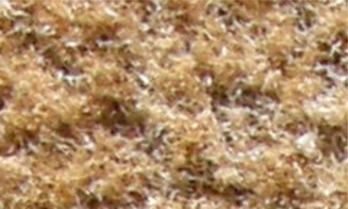 Sauberlauf Coral Brush straw brown