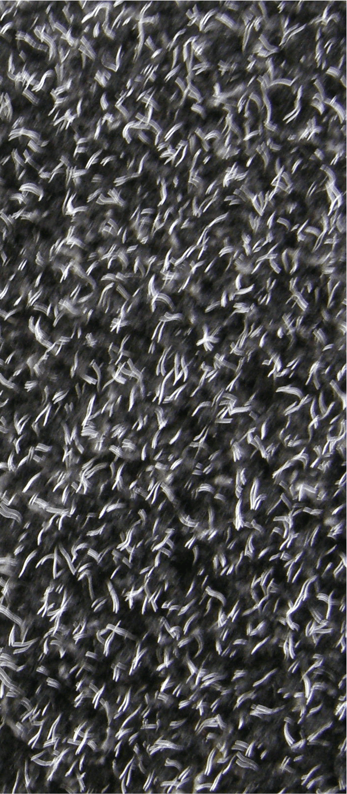 Schmutzfangmatte mit Kratzfaser Black Lava
